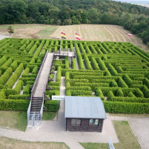 Ein Labyrinth aus der Vogelperspektive mit einem Feld und einem Wald im Hintergrund