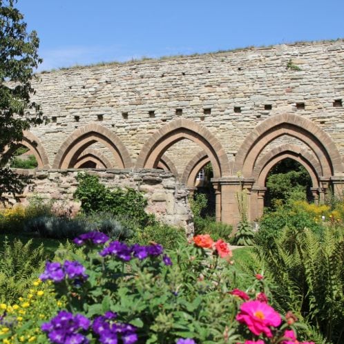 Torbögen im Kloster Memleben mit verschiedenen Pflanzen im Vordergrund